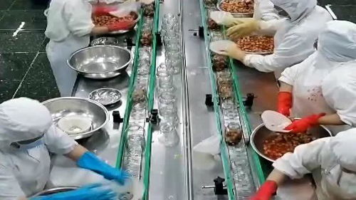 罐頭水果 健康與否，解碼食品廠的“魔法”加工過程